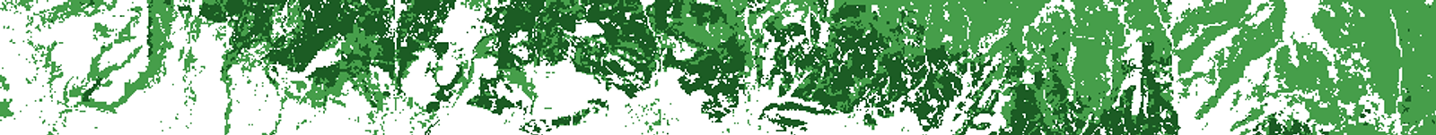 Selection_017.png